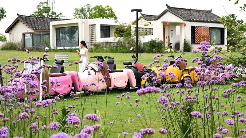 Homestay_Managers__Pioneering_Rural_Tourism_and_Revitalizing_Villages