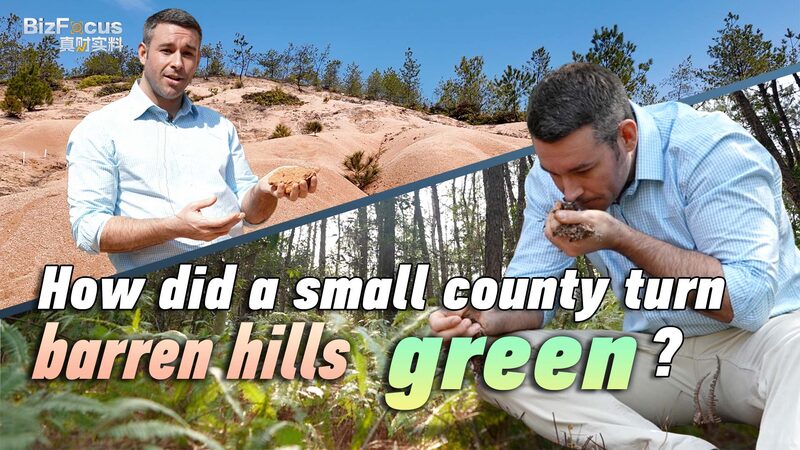 How_Changting_County_Transformed_Barren_Hills_into_a_Green_Eco_Paradise - My Global News: Voices of a New Era How_Changting_County_Transformed_Barren_Hills_into_a_Green_Eco_Paradise