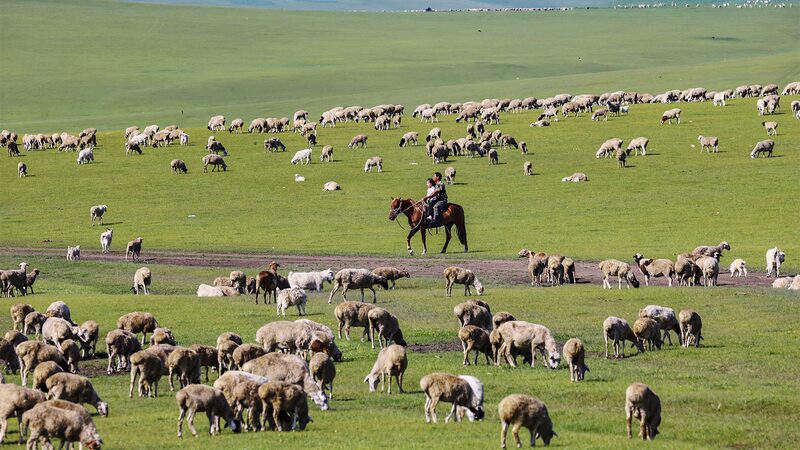 Hulun_Buir_Grassland__Inner_Mongolia_s_Pristine_Natural_Paradise