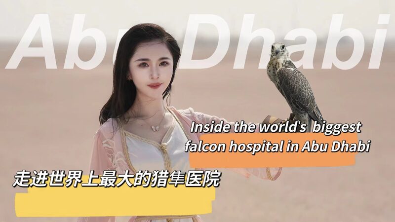 Inside_Abu_Dhabi_s_World_s_Largest_Falcon_Hospital_poster - My Global News: Voices of a New Era Inside_Abu_Dhabi_s_World_s_Largest_Falcon_Hospital video poster