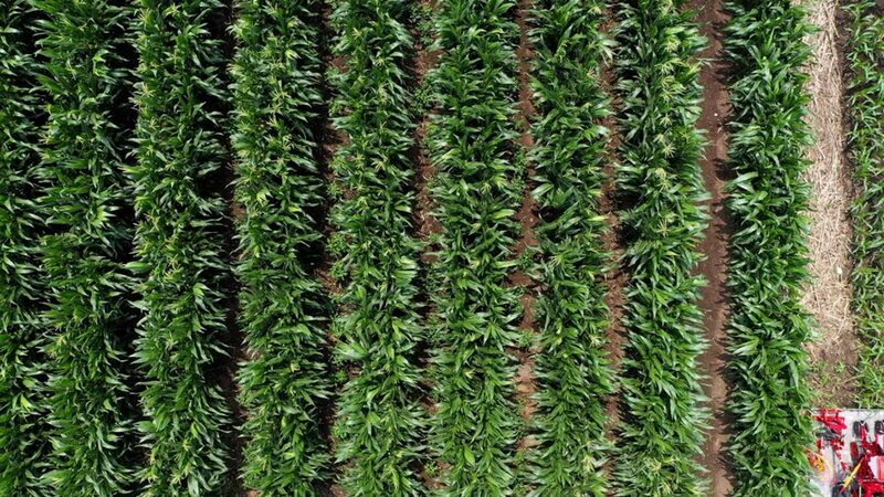 Inside_China_s_Black_Soil_Protection__Global_Collaboration_for_Sustainability