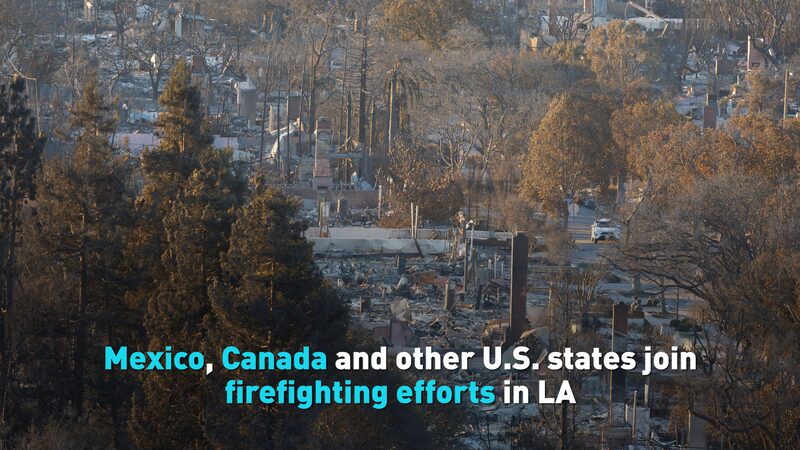 International Allies Unite to Combat California Wildfires International_Allies_Unite_to_Combat_California_Wildfires