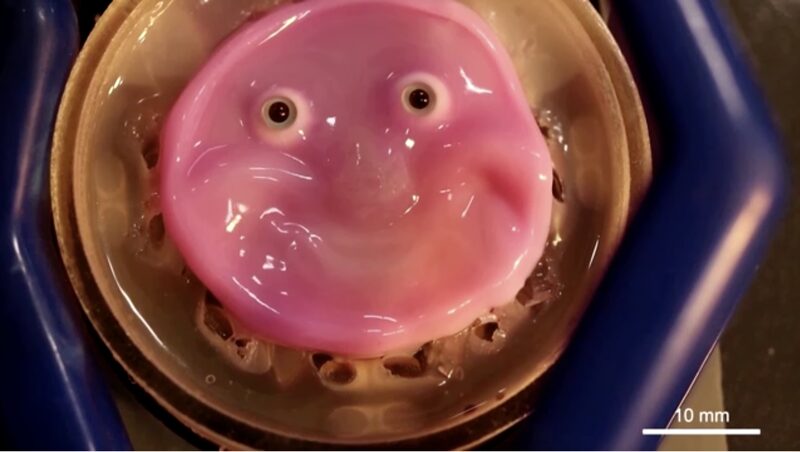 Japanese_Breakthrough__Live_Skin_Makes_Robot_Faces_Smile