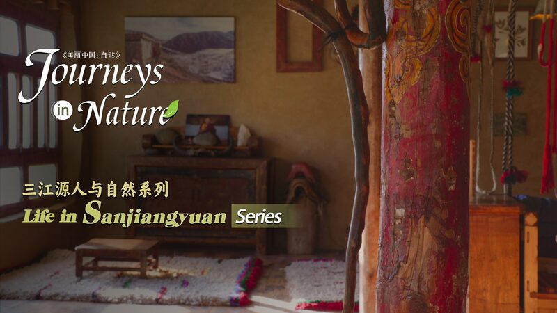 Jianzuo_Village_Leads_the_Way_in_Zero_Waste_Living_on_the_Qinghai_Xizang_Plateau_poster - My Global News: Voices of a New Era Jianzuo_Village_Leads_the_Way_in_Zero_Waste_Living_on_the_Qinghai_Xizang_Plateau video poster