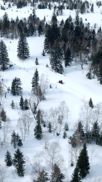 Journey_Through_Changbai_Mountain__Discover_Nature_s_Hidden_Gems video poster