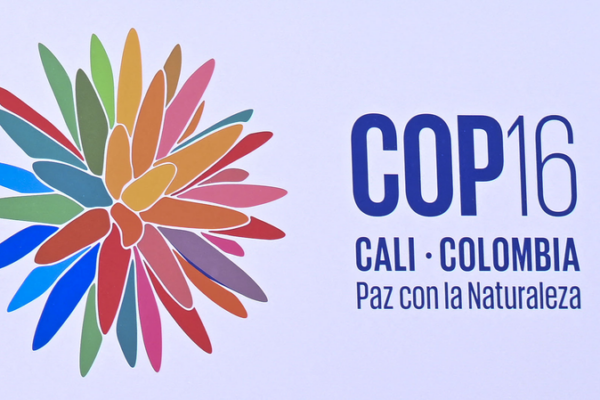 Kunming_Biodiversity_Fund_Approves_9_Global_Projects_at_COP16