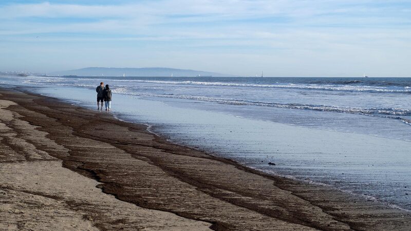 LA_Wildfires_Threaten_Marine_Ecosystems_as_Toxins_Flow_Seaward - My Global News: Voices of a New Era LA_Wildfires_Threaten_Marine_Ecosystems_as_Toxins_Flow_Seaward