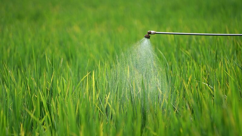 Laos_Launches_Initiative_to_Curb_Harmful_Pesticide_Use - My Global News: Voices of a New Era Laos_Launches_Initiative_to_Curb_Harmful_Pesticide_Use