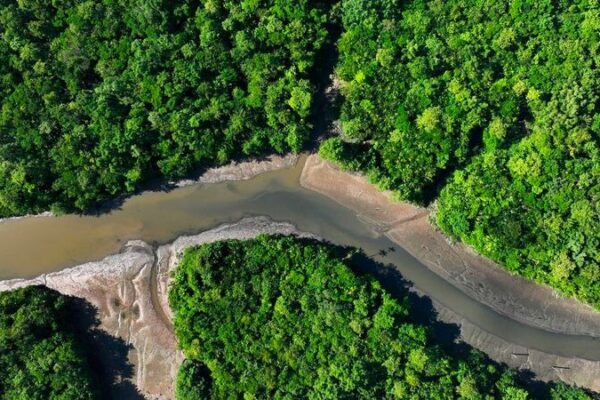 Latin America & Caribbean: Driving Global Food & Climate Leadership Latin_America___Caribbean__Driving_Global_Food___Climate_Leadership