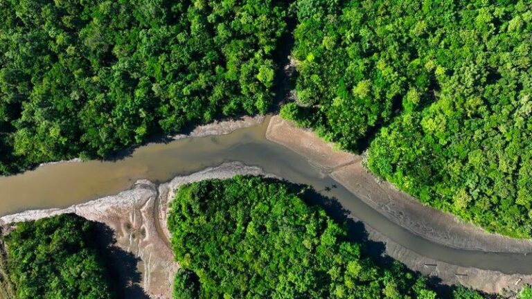 Latin_America___Caribbean__Driving_Global_Food___Climate_Leadership