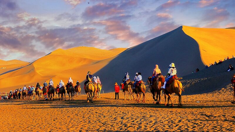 Live Camel Rides on Mingsha Mountain Highlight Silk Road Expo in Dunhuang Live_Camel_Rides_on_Mingsha_Mountain_Highlight_Silk_Road_Expo_in_Dunhuang video poster