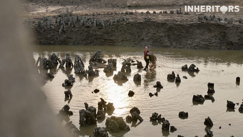 Luoyang_Bridge__China_s_First_Cross_Sea_Stone_Bridge_from_the_Song_Dynasty