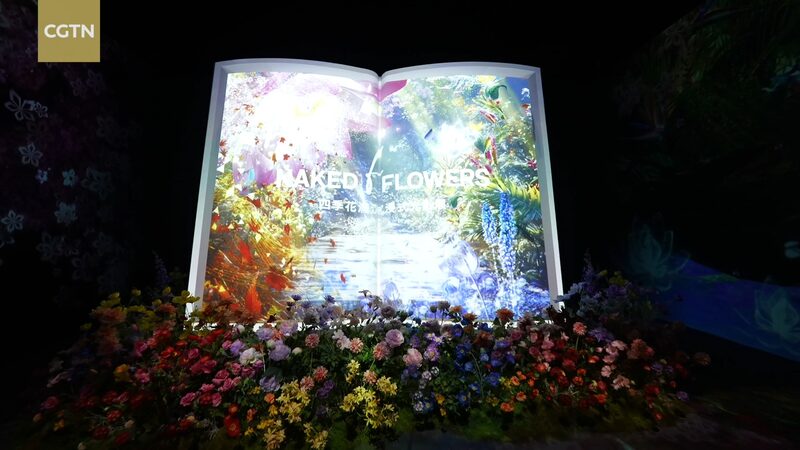 Macao_s_25th_Anniversary_Celebrated_with_Immersive__Naked_Flowers__Light_Show_in_Beijing video poster
