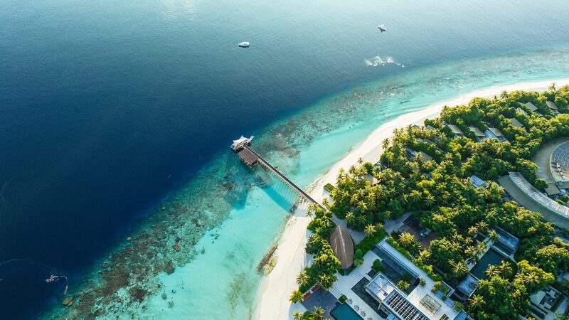 Maldives_Eyes_2_Million_Trees_by_2025_in_Climate_Push