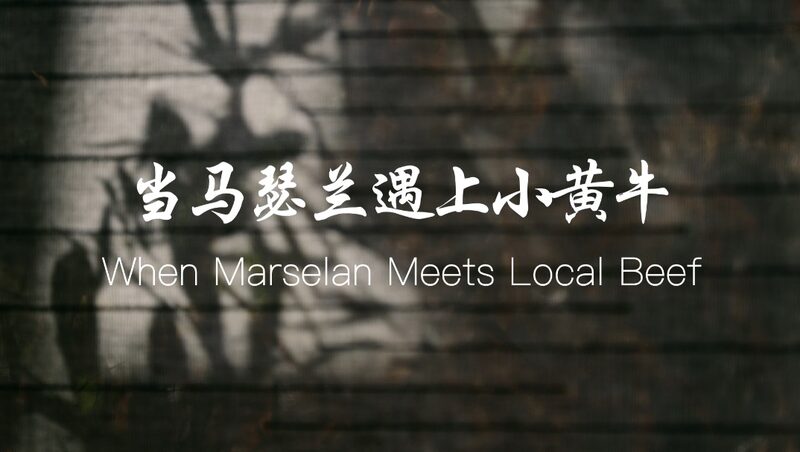 Marselan_Wine_Meets_Ningxia_Beef__A_Culinary_Journey video poster