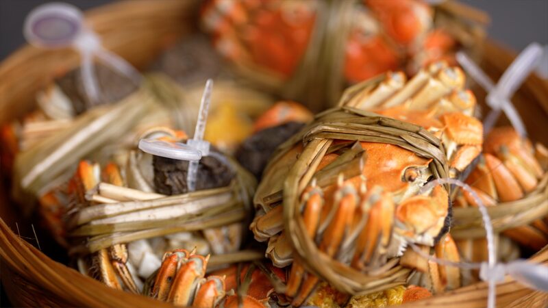 Master_the_Art_of_Eating_Hairy_Crab_with_These_Pro_Tips_poster - My Global News: Voices of a New Era Master_the_Art_of_Eating_Hairy_Crab_with_These_Pro_Tips video poster