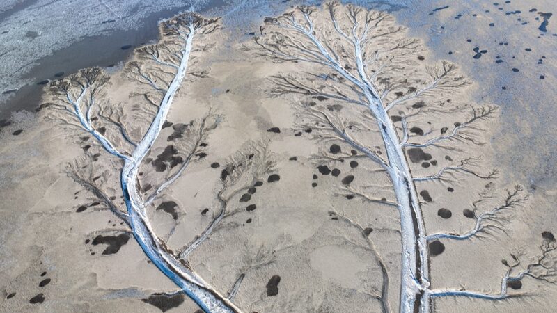 Mesmerizing_Ice__Trees__Adorn_Qiantang_River_in_Zhejiang