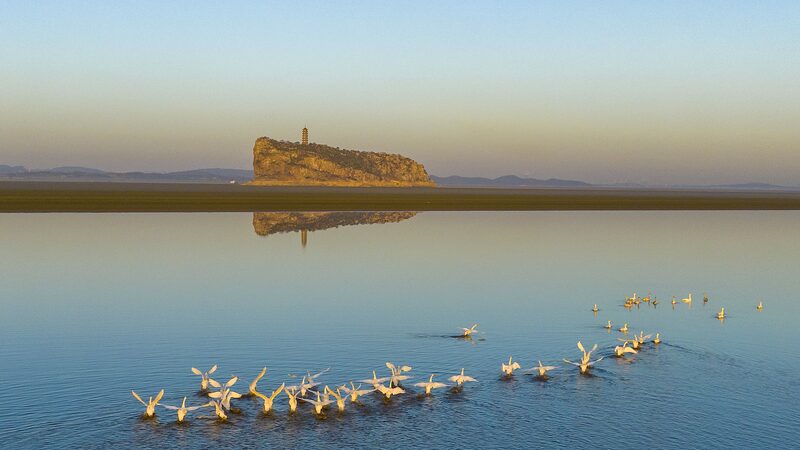 Migratory Birds Create Stunning Wave Patterns Over Poyang Lake Migratory_Birds_Create_Stunning_Wave_Patterns_Over_Poyang_Lake video poster