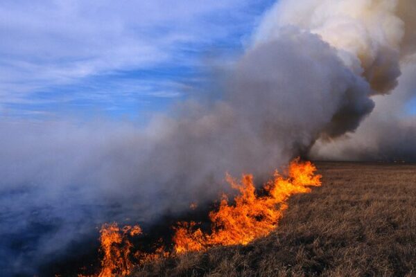 Mongolia Battles Escalating Wildfires: 685,500 Hectares Affected This Year Mongolia_Battles_Escalating_Wildfires__685_500_Hectares_Affected_This_Year