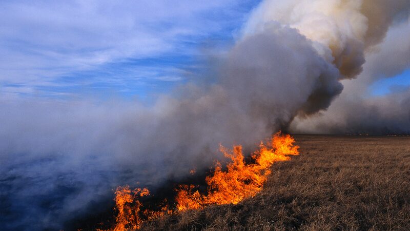 Mongolia_Battles_Escalating_Wildfires__685_500_Hectares_Affected_This_Year