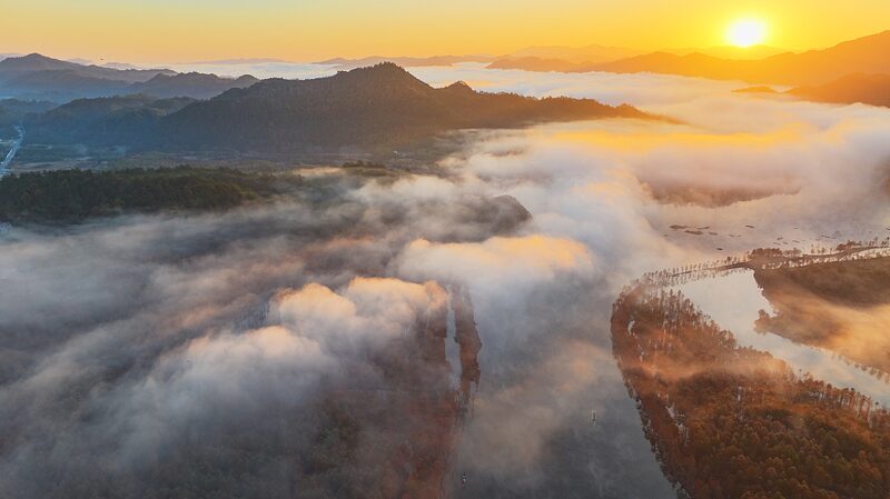 Morning_Mist_Transforms_Ningguo_s_Bald_Cypress_Forest_into_a_Fairytale_Landscape - My Global News: Voices of a New Era Morning_Mist_Transforms_Ningguo_s_Bald_Cypress_Forest_into_a_Fairytale_Landscape