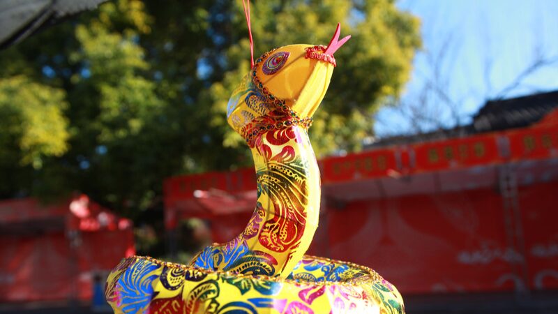 Nanjing Lights Up Spring Festival with Vibrant Snake Lanterns Nanjing_Lights_Up_Spring_Festival_with_Vibrant_Snake_Lanterns