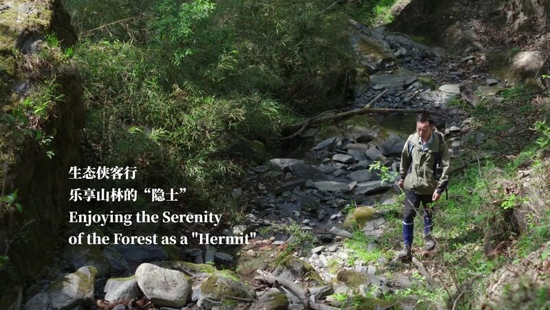 Nature Enthusiast Xiao Fei Embraces Life as Forest Guardian Nature_Enthusiast_Xiao_Fei_Embraces_Life_as_Forest_Guardian video poster
