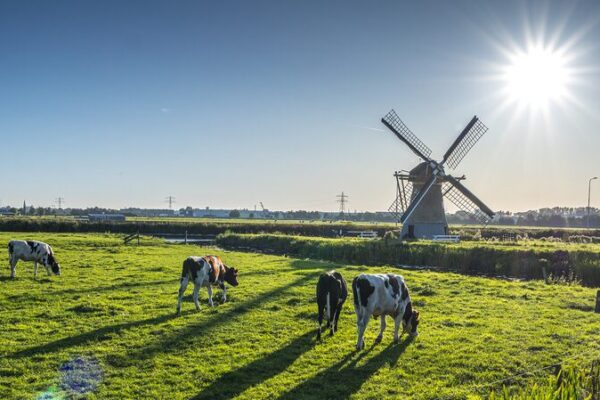 Netherlands Strengthens Agricultural Partnership with China Netherlands_Strengthens_Agricultural_Partnership_with_China