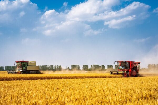 New Bacteria Breakthrough Reduces Harmful Nitrous Oxide Emissions in Farms New_Bacteria_Breakthrough_Reduces_Harmful_Nitrous_Oxide_Emissions_in_Farms