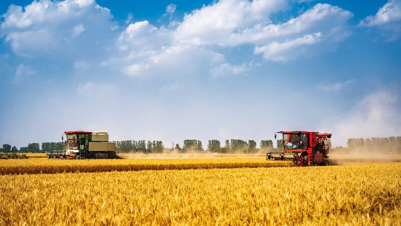 New_Bacteria_Breakthrough_Reduces_Harmful_Nitrous_Oxide_Emissions_in_Farms - My Global News: Voices of a New Era New_Bacteria_Breakthrough_Reduces_Harmful_Nitrous_Oxide_Emissions_in_Farms