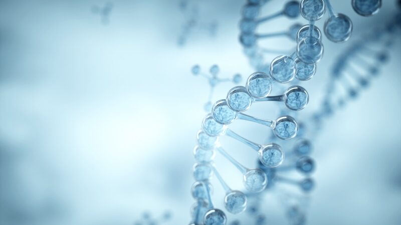 New_Gene_Discovery_Could_Extend_Human_Lifespan_and_Tackle_Pests