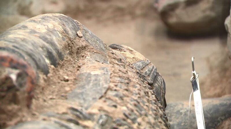 New Terracotta Warriors Discovery Reveals Qin Chariot Troop Structure New_Terracotta_Warriors_Discovery_Reveals_Qin_Chariot_Troop_Structure