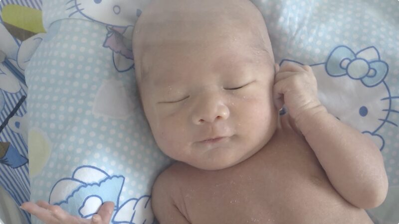 Newborn_Zhuangzhuang_Celebrated_Amid_COVID_19_Outbreak - My Global News: Voices of a New Era Newborn_Zhuangzhuang_Celebrated_Amid_COVID_19_Outbreak