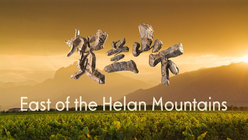 Ningxia’s Vineyards Turn Desert into Prosperity Ningxia_s_Vineyards_Turn_Desert_into_Prosperity video poster