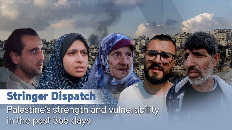 One Year of Conflict: Palestinian Resilience Amid Struggles One_Year_of_Conflict__Palestinian_Resilience_Amid_Struggles video poster