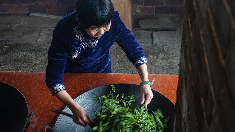 Preserving_Guangxi_s_Rich_Liubao_Tea_Heritage