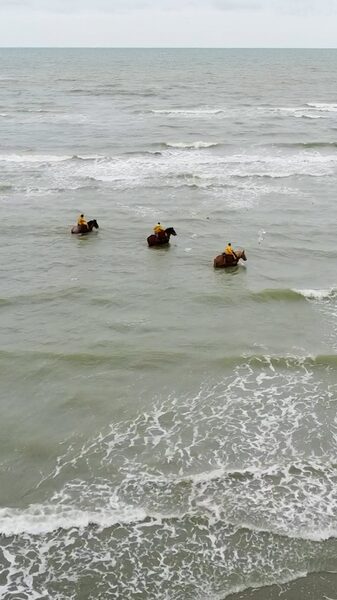 Preserving_a_Centuries_Old_Tradition__Horseback_Shrimp_Fishing_in_Oostduinkerke_poster - My Global News: Voices of a New Era Preserving_a_Centuries_Old_Tradition__Horseback_Shrimp_Fishing_in_Oostduinkerke video poster