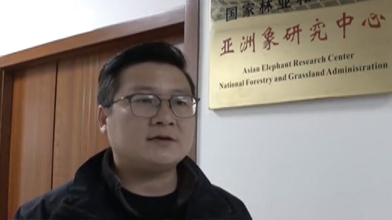 Protecting_Giants__Chen_Fei_s_Mission_in_Southwest_China_s_Rainforest