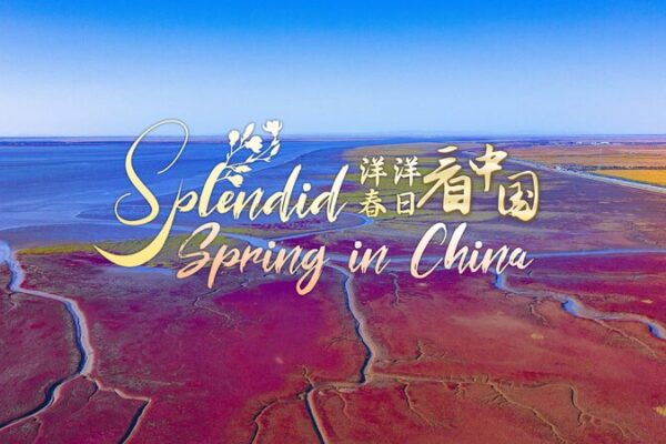 Red Beach in Liaoning: Nature’s Vibrant Wonder and Avian Haven Red_Beach_in_Liaoning__Nature_s_Vibrant_Wonder_and_Avian_Haven video poster