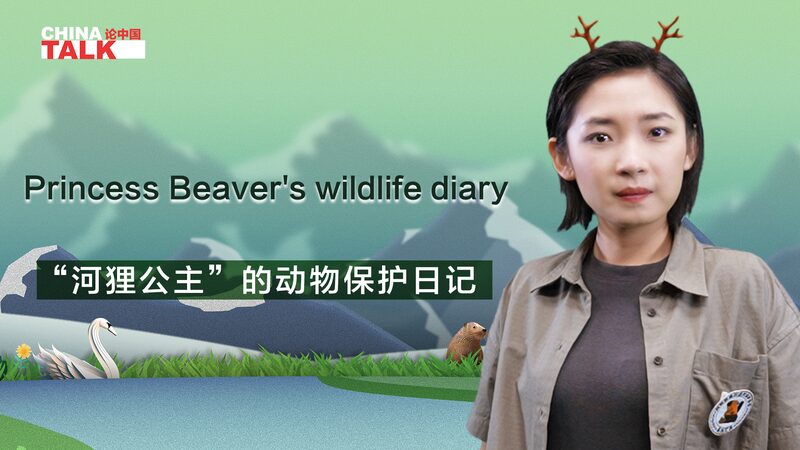 Reviving_Nature__Chu_Wenwen_s_Mission_to_Protect_China_s_Rare_Beavers_poster - My Global News: Voices of a New Era Reviving_Nature__Chu_Wenwen_s_Mission_to_Protect_China_s_Rare_Beavers video poster