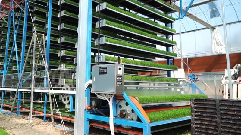 Revolutionizing_Spring_Plowing__Smart_Seedling_Farms_in_SE_China video poster