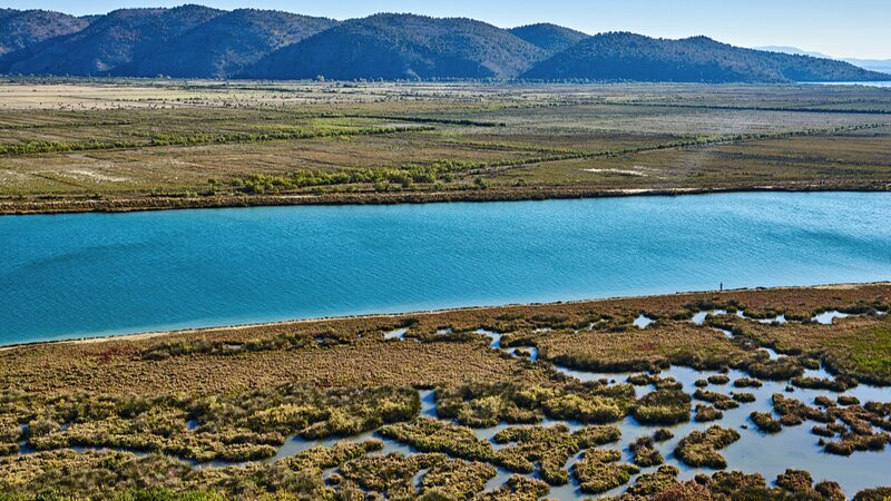 Rising_Temperatures_Drive_Migratory_Birds_from_Albania_s_Vain_Lagoon - My Global News: Voices of a New Era Rising_Temperatures_Drive_Migratory_Birds_from_Albania_s_Vain_Lagoon