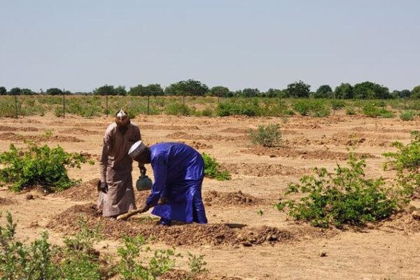 Riyadh Hosts COP16: A New Era for Global Land Restoration Riyadh_Hosts_COP16__A_New_Era_for_Global_Land_Restoration