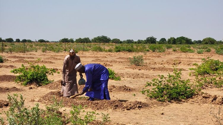 Riyadh_Hosts_COP16__A_New_Era_for_Global_Land_Restoration