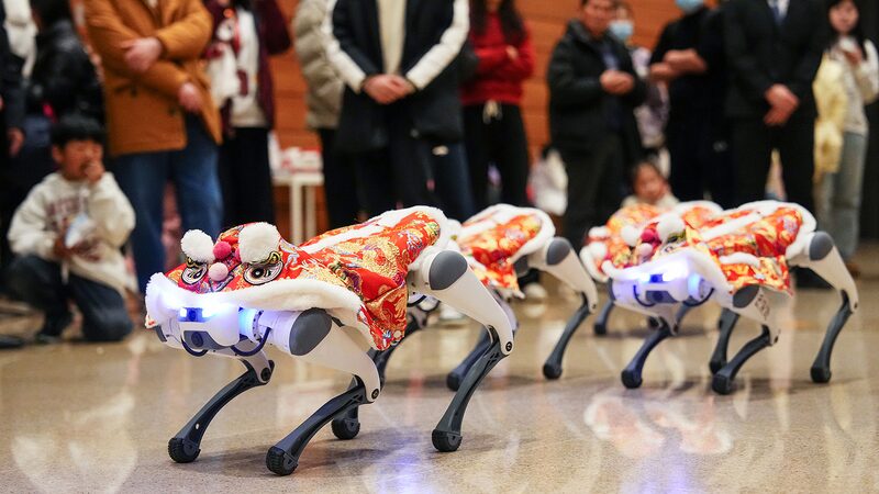 Robot_Dogs_Steal_the_Show_as_Mini_Lion_Dancers_at_Beijing_s_Spring_Festival