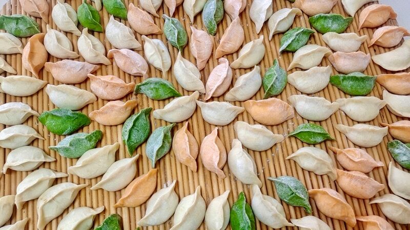 Rolling_into_Tradition__Northern_China_s_Colorful_Winter_Solstice_Dumplings - My Global News: Voices of a New Era Rolling_into_Tradition__Northern_China_s_Colorful_Winter_Solstice_Dumplings