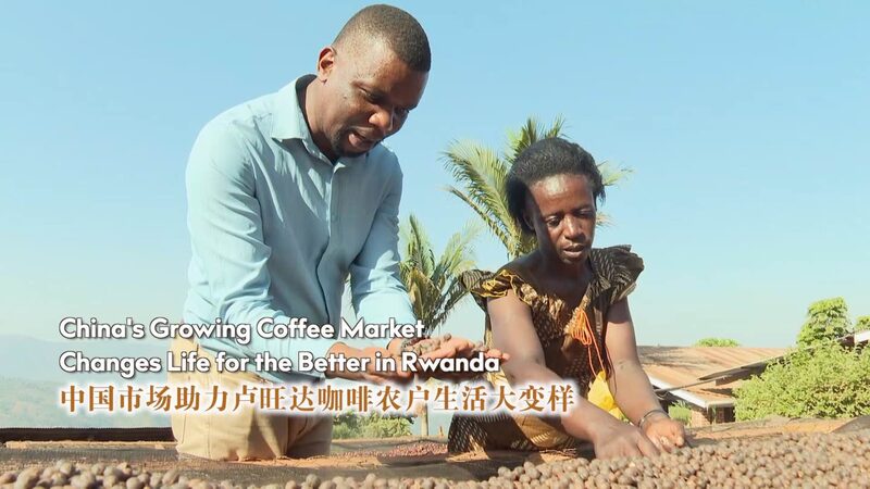 Rwanda_s_Coffee_Farmer_Thrives_with_Expansion_into_China_s_Market_poster - My Global News: Voices of a New Era Rwanda_s_Coffee_Farmer_Thrives_with_Expansion_into_China_s_Market video poster