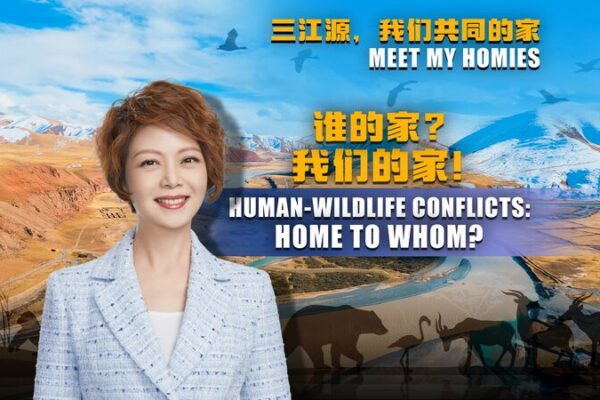 Sanjiangyuan: Finding Harmony Between Humans and Wildlife on the Plateau Sanjiangyuan__Finding_Harmony_Between_Humans_and_Wildlife_on_the_Plateau video poster