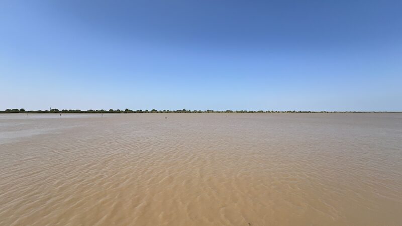 Shandong_Releases_White_Paper_on_Yellow_River_Delta_Biodiversity