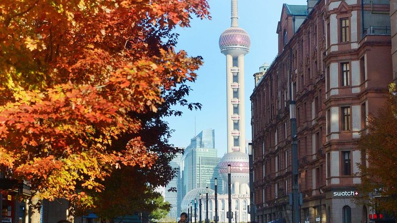 Shanghai_s_Bund_Shines_with_Stunning_Autumn_Maple_Colors